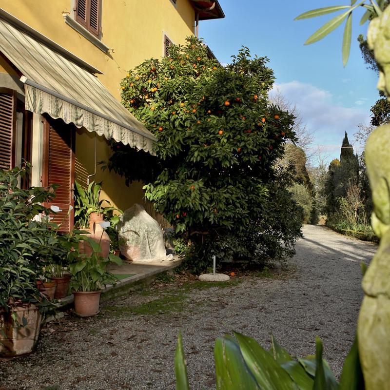Agriturismo Il Poggetto Torre 外观 照片
