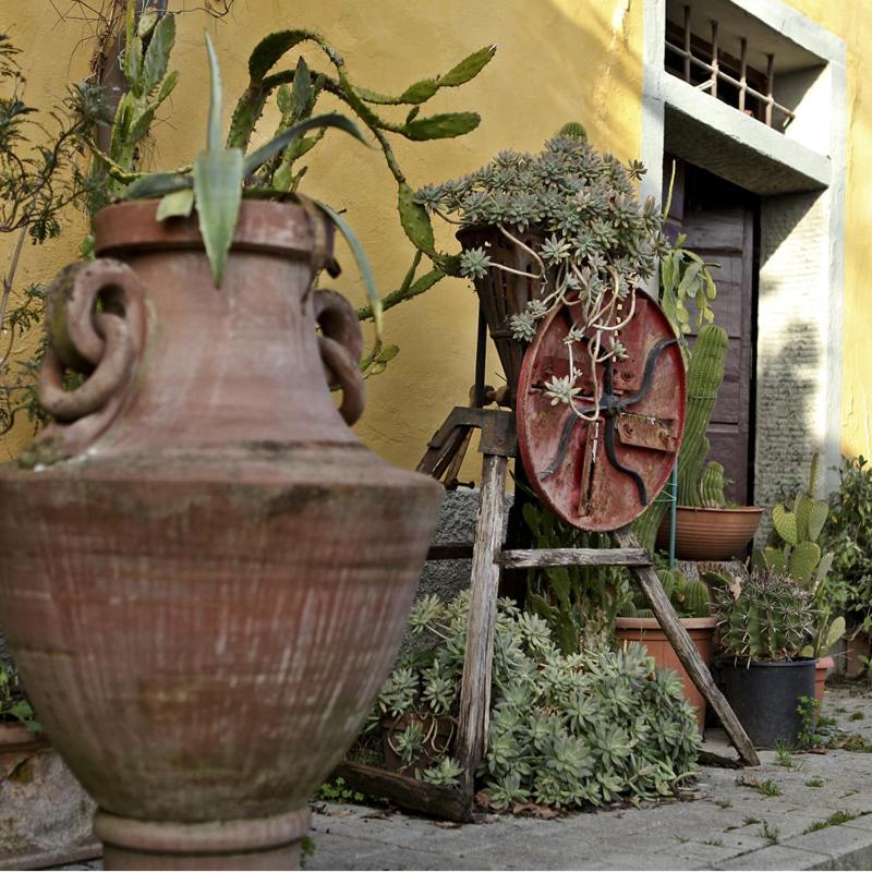 Agriturismo Il Poggetto Torre 外观 照片