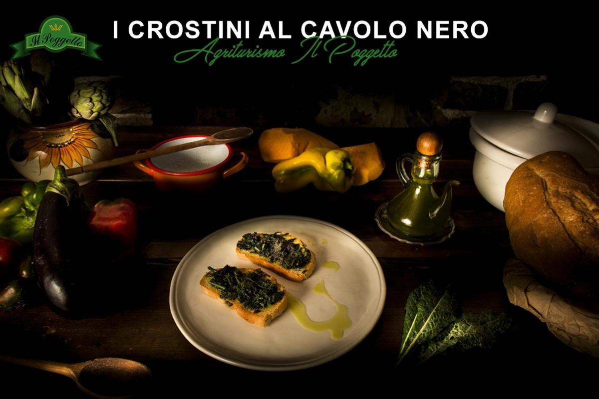 Agriturismo Il Poggetto Torre 外观 照片